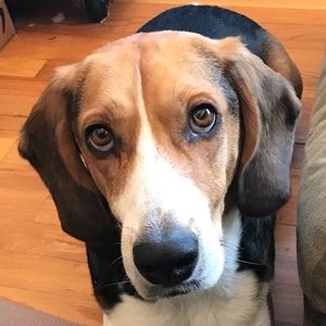 Meet your Posher, Tracy